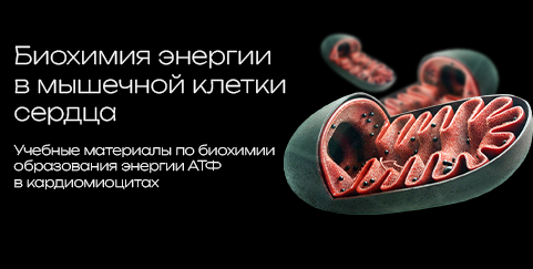 ATP educational material preview